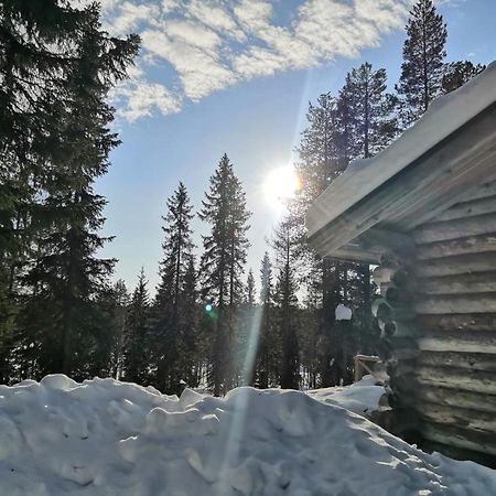 Mantytupa Lodge Syote Ngoại thất bức ảnh